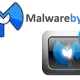 Иконка Malwarebytes Anti-Malware