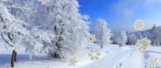 Иконка Maxlim New Year 2020 2.2.1.1 (2020) PC RePack & Portable by elchupaсabra