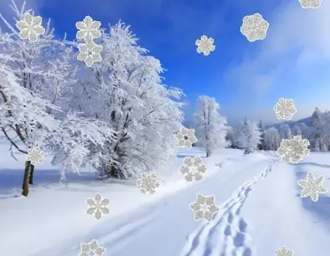 Иконка Maxlim New Year 2020 2.2.1.1 (2020) PC RePack & Portable by elchupaсabra