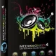Иконка MediaMonkey Gold 4.1.24.1883 Final (2019) PC RePack & portable by KpoJIuK