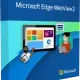 Иконка Microsoft Edge WebView2 Runtime 1.3.167.21 [Ru]
