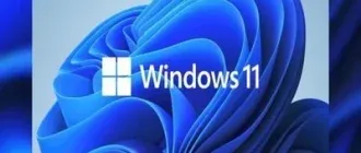 Иконка Microsoft Windows