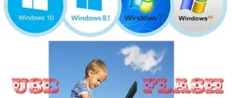 Иконка Microsoft Windows