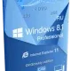 Иконка Microsoft Windows
