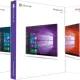 Иконка Microsoft Windows