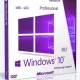 Иконка Microsoft Windows