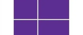 Иконка Microsoft Windows