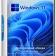 Иконка Microsoft Windows 11 [10.0.22000.376], Version 21H2 (Updated December 2021) - Оригинальные образы от Microsoft MSDN [Ru]