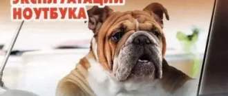 Иконка Мой друг компьютер №17 (август 2017) PDF