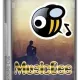 Иконка MusicBee 3.5.8698 + Portable [Multi Ru]