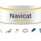 Иконка Navicat Premium 11.2.16 (2017) Английский