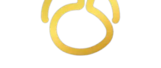 Иконка Navicat Premium 16.1.6 [En]