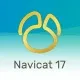 Иконка Navicat Premium 17.1.5 [Ru En]