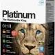 Иконка Nero Platinum 2019 Suite 20.0.05900 (2018) PC