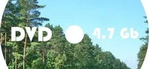 Иконка Нет входных данных для обработки. Пожалуйста, предоставьте строку для анализа