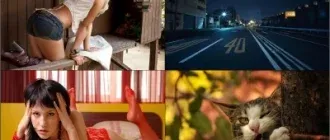 Иконка Обои для рабочего стола