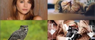 Иконка Обои для рабочего стола