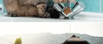 Иконка Обои для рабочего стола - Разное [1920x1200 - 8796x5934] [49 шт.] (2021) JPG