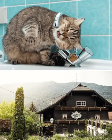 Иконка Обои для рабочего стола - Разное [1920x1200 - 8796x5934] [49 шт.] (2021) JPG