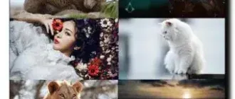 Иконка Обои для рабочего стола - Разное [3840x2160 - 5120x2880] [175шт.] (2020) JPG