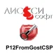 Иконка P12FromGostCSP 1.0.0.1287 Repack by LxDm [Ru]