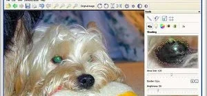 Иконка Pet Eye Fix Guide