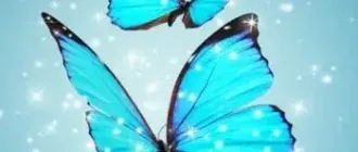 Иконка Поисковик NNM-Club 3.2.1.0 Portable [Ru]