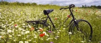 Иконка Природа