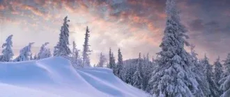 Иконка Природа