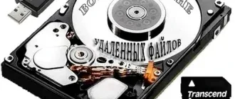 Иконка Raise Data Recovery