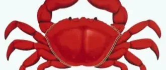 Иконка RedCrab Calculator 8.2.0 Portable [Multi]