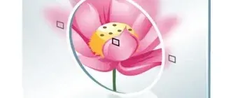 Иконка SoftOrbits Easy Photo Unblur 5.0 Portable by Spirit Summer [Ru En]