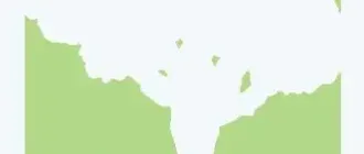 Иконка SpeedTree Modeler v9.1.1 Cinema Edition Win x64 [En]