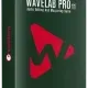 Иконка Steinberg - WaveLab 11 Pro 11.2.0 (x64) [En]