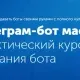 Иконка Telegram-бот мастер (2017) Видеокурс