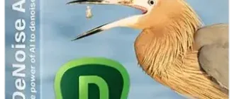 Иконка Topaz DeNoise AI 3.7.1 (x64) RePack (& Portable) by elchupacabra [En]