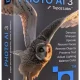 Иконка Topaz Photo AI 3.0.1 (x64) RePack (& Portable) by TryRooM [En]