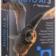 Иконка Topaz Photo AI 3.2.2 RePack (& Portable) by elchupacabra [En]
