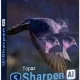 Иконка Topaz Sharpen A.I. 2.1.8 RePack (& Portable) by elchupacabra [En]