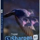 Иконка Topaz Sharpen AI 2.1.3 RePack & Portable (2020) Английский