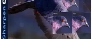 Иконка Topaz Sharpen AI 3.0.3 RePack (& Portable) by TryRooM [En]