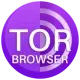 Иконка Tor Browser Bundle 14.5.3 Portable [Multi Ru]