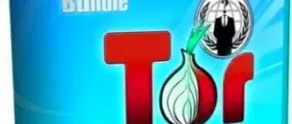 Иконка Tor Browser Bundle 9.0.7 Final (2020) PC