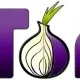 Иконка Tor Browser Bundle 9.5.1 (2020) РС