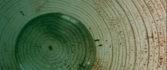 Иконка TreeSize Free 4.6.1.509 + Portable [Multi Ru]