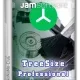 Иконка TreeSize Professional 9.1.2.1873 (x64) [Multi Ru]