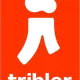Иконка Tribler 7.13.0 [Multi Ru]