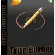 Иконка True Burner 9.0 RePack (& Portable) by Dodakaedr [Ru En]