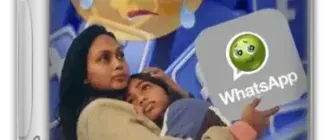 Иконка WhatsApp (outdated) 2.2325.3 [Multi Ru]