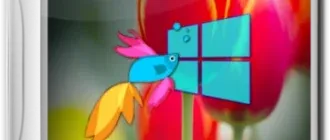 Иконка Windows